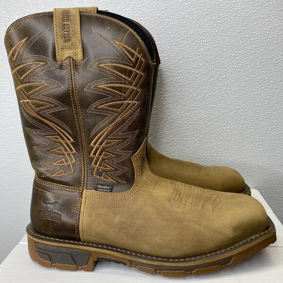 Irish Setter Marshall 11\